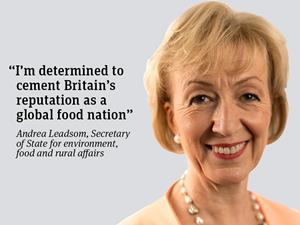 100387_Andrea-Leadsom-opinion-quote.jpg