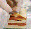 Lasagne testing
