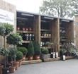 Waitrose Flower Garden