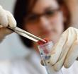 DNA testing on meat