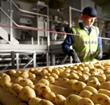 Walkers potato production line for PepsiCo