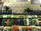 Whole Food Market