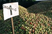 Organic apples