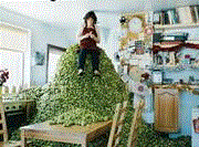 Morrisons christmas advert