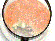 burger under magnifying glass