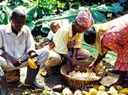 Divine Chocolate owner trials Fairtrade radio shows in Ghana