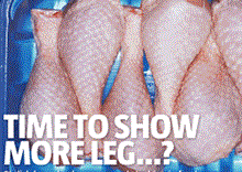 Meat & Fish Supplement 2011