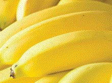 Bananas