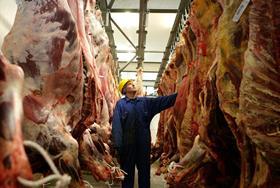 dunbia 2 sisters one use