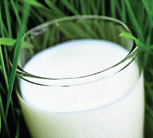 Dairy Crest gets City thumbs-up despite write-down