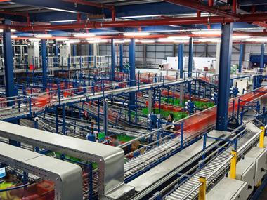 Ocado suffers rollercoaster as Brexit vote hammers market