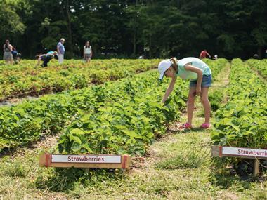 Migrant labour caravan consultation launched by FPC