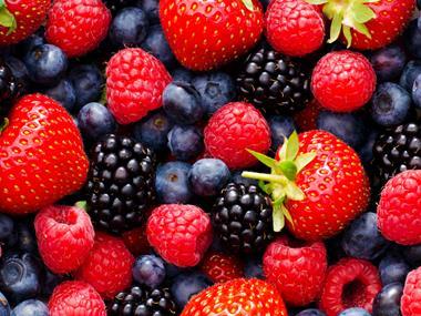Mexican fruit workers urge Driscoll's berries boycott
