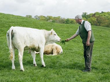 Lidl to launch 'authenticity, provenance, quality' ads