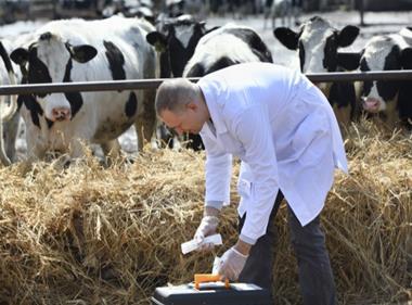 Dairy sector gets guidance on cutting use of antibiotics