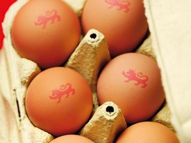 Shoppers want more British eggs in processed foods