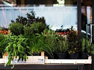 Natoora opens 'shop within a shop' in Selfridges food hall