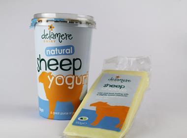 Delamere Dairy adds sheep milk and cheese lines