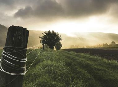 Call for food policy to focus on boosting UK self-sufficiency