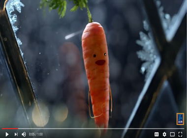 Carrot is star of Aldi's festive TV offering