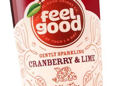 Demand for 'healthier' adult soft drinks 'not being met'