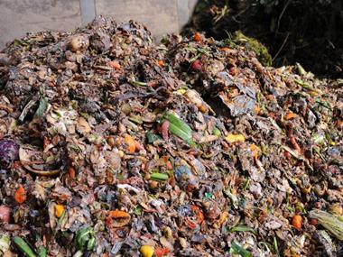 Tesco slashes cost of sending waste to AD