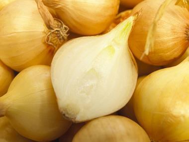 Dry weather causes concerns about onion crop