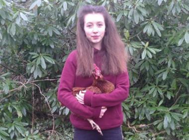 Lucy Gavaghan calls on Leadsom to ban caged hen farming