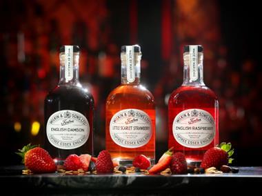 Tiptree and Haymans unite for fruit-flavoured gin range