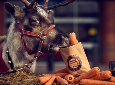 Morrisons to give away 200,000 wonky 'Carrots for Rudolph'