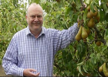 Tesco to launch poached apples and pears to cut waste