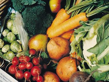 Organic sales continue to rise as 'mistrust' grows
