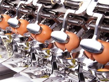 Brexit boost for egg suppliers as exchange rate hits imports