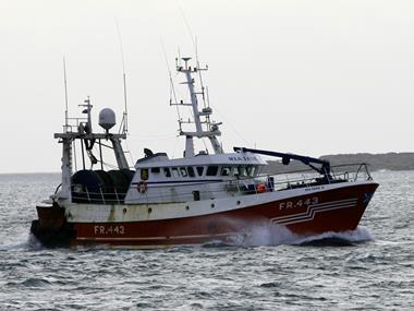 More than half of fish caught in UK waters 'by foreign boats'