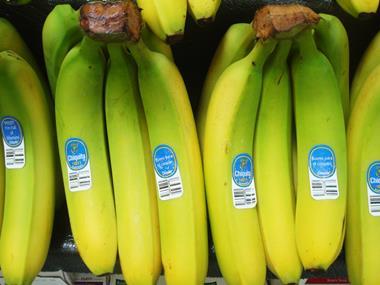 'Bring barcodes into the food waste battle' says GS1