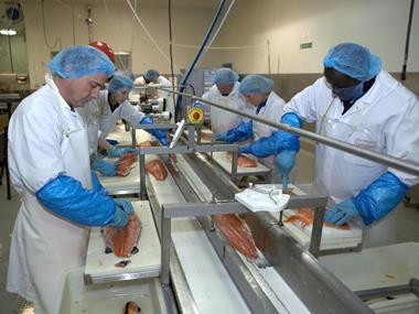 New alliance formed to lobby on Brexit fishing policy