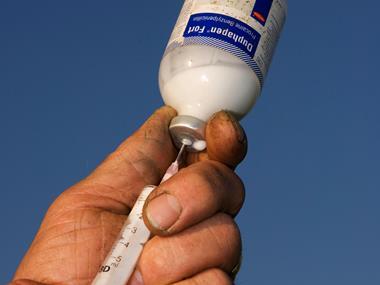 FSA admits antimicrobial resistance 'knowledge gaps'