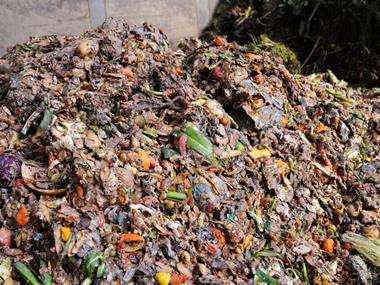 Need for food waste legislation probed by Efra committee