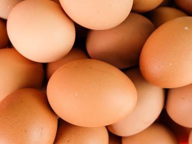 St. Ewe Eggs secures six-figure bank loan