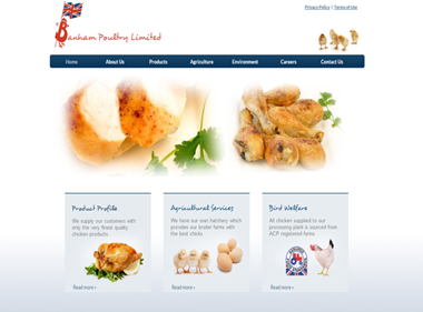 Banham Poultry slips to loss as chicken fillets hit by grocery price war