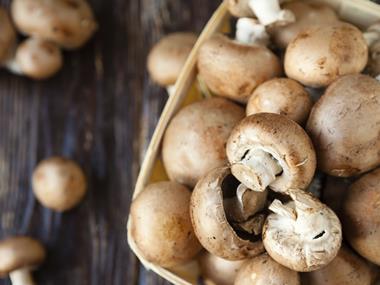 City Snapshot: Fyffes doubles down on Canadian mushrooms