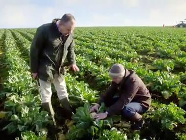 War on Waste chef says supermarkets "rising to the challenge"