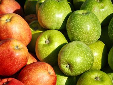 Tesco looks to extend apple 'flavour-life' with research project