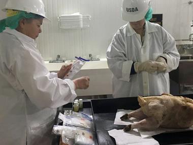 Kelly Turkeys readies premium Thanksgiving US poultry push