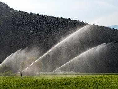 FDF members slash amount of water used in food production