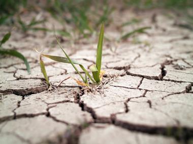 Growers and retailers urged to act on climate change