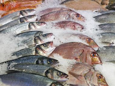 Interfish fined £500,000 over death of crushed worker