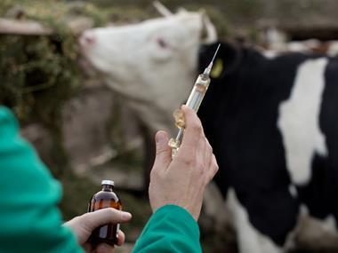 Greater monitoring of AMR bacteria urged in FSA research
