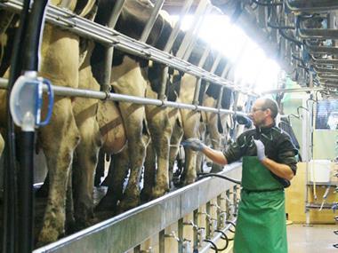 Meadow Foods eyes acquisitions with backing of US private equity firm