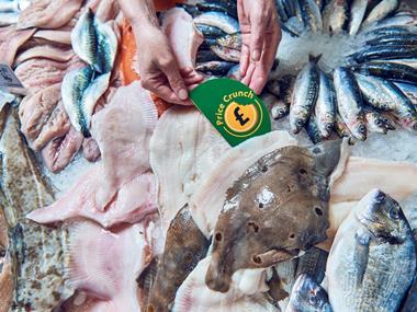 Morrisons cuts prices to allay Brexit fears